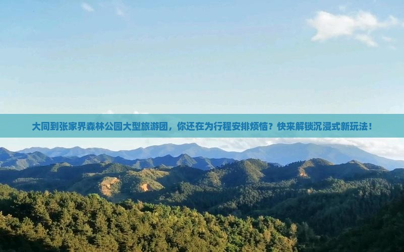 大同到张家界森林公园大型旅游团