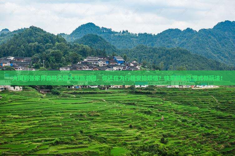 大同到张家界森林公园大型旅游团