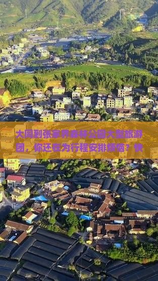 大同到张家界森林公园大型旅游团