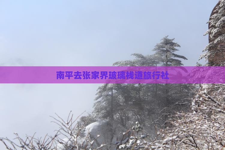 南平去张家界玻璃栈道旅行社