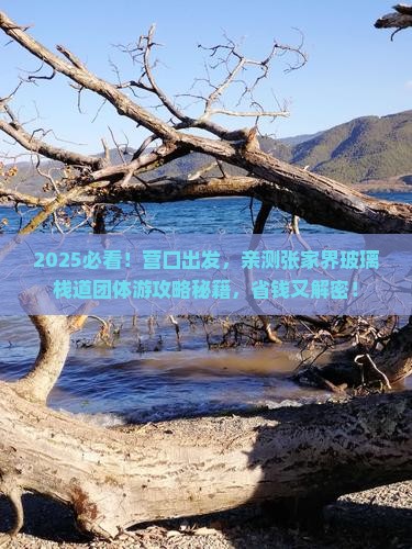营口到张家界玻璃栈道团体旅游
