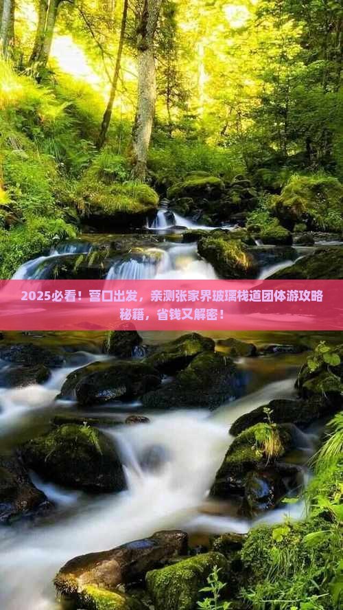 营口到张家界玻璃栈道团体旅游