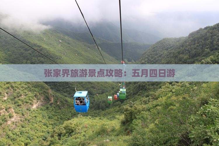 五月去张家界四日游