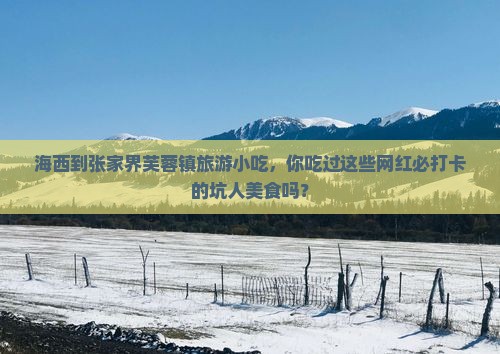 海西到张家界芙蓉镇旅游小吃 海西到张家界芙蓉镇旅游小吃