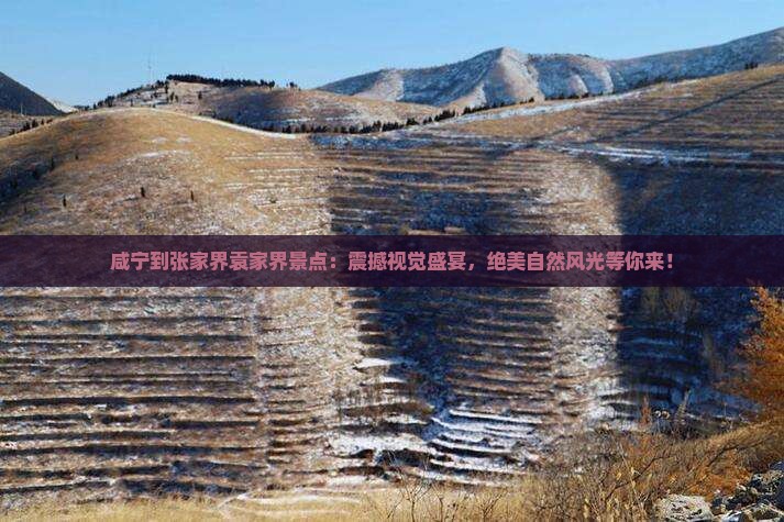 咸宁到张家界袁家界景点
