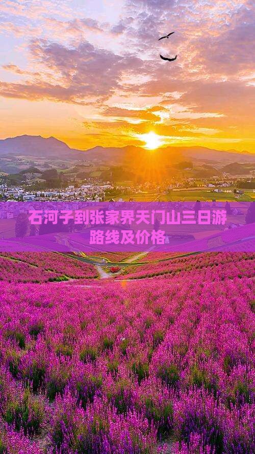 石河子到张家界天门山三日游