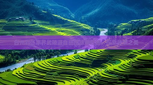 台州到张家界武陵源自由团