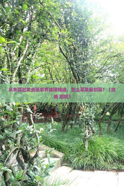 东莞去张家界玻璃栈道门票