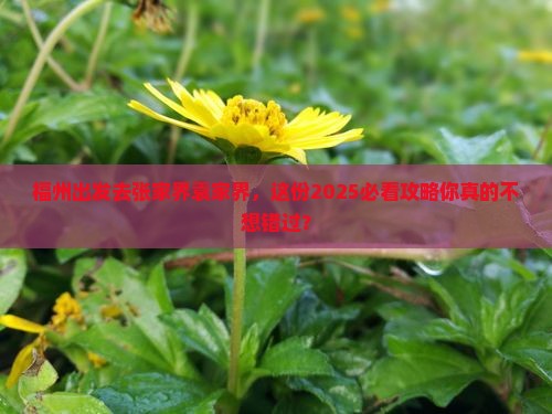 福州去张家界袁家界攻略