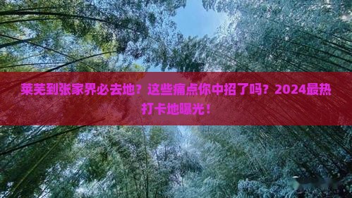 莱芜到张家界必去地