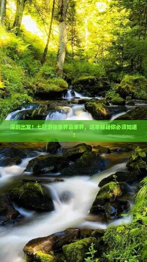 深圳去张家界袁家界七日游