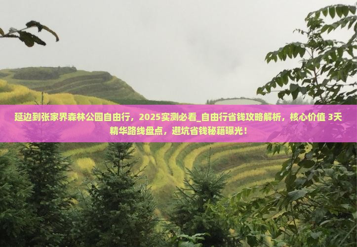延边到张家界森林公园自由行