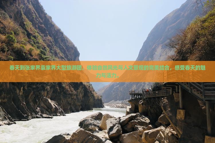 春天到张家界袁家界大型旅游团 春天到张家界袁家界大型旅游团
