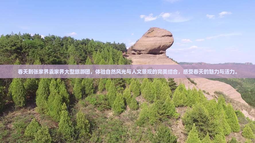 春天到张家界袁家界大型旅游团 春天到张家界袁家界大型旅游团