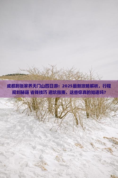 成都到张家界天门山四日游