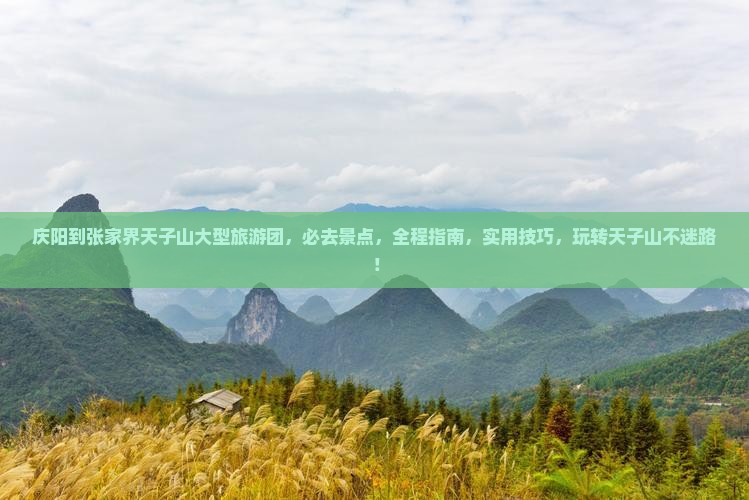 庆阳到张家界天子山大型旅游团