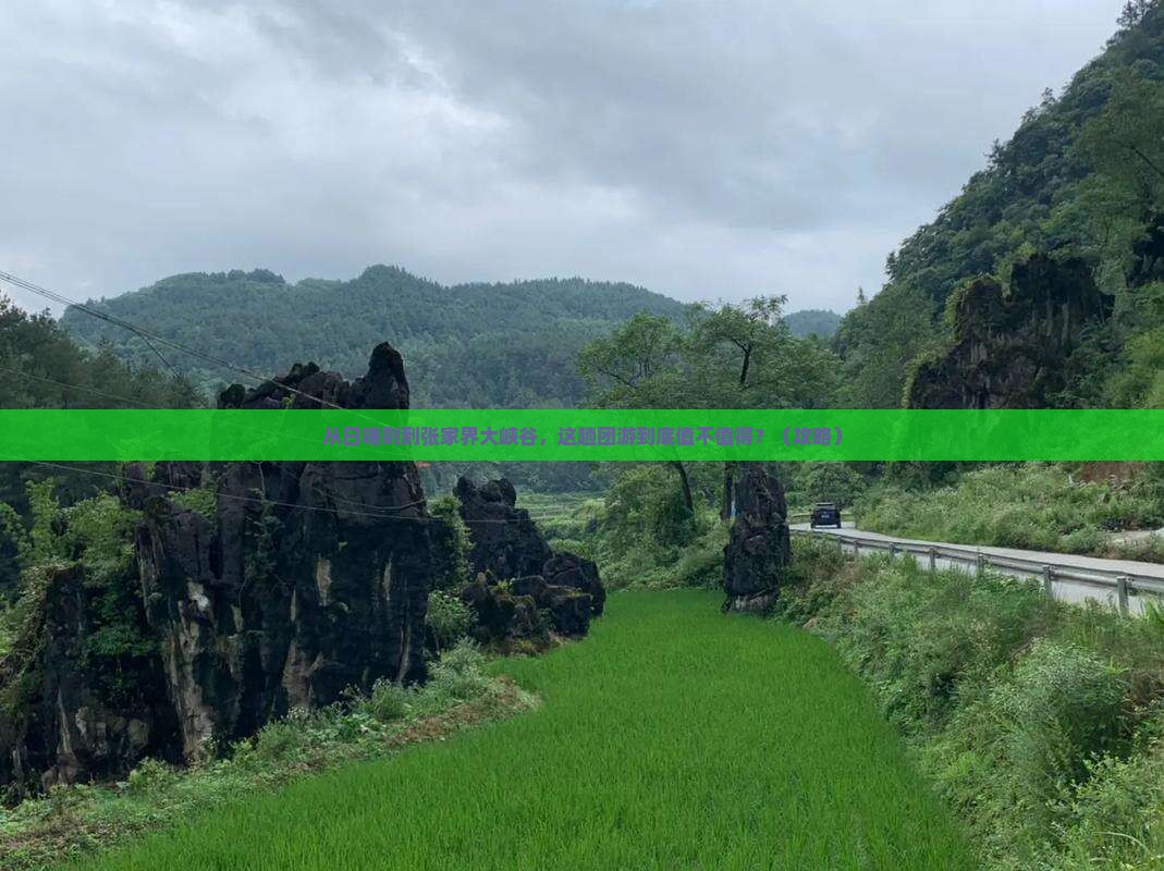 日喀则到张家界大峡谷团体旅游