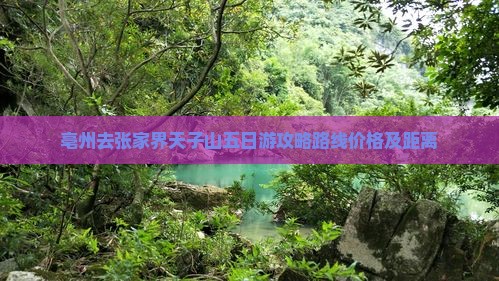 亳州去张家界天子山五日游