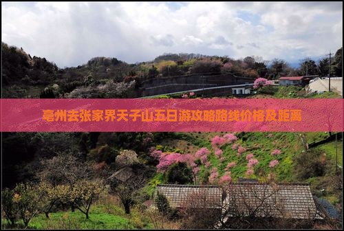 亳州去张家界天子山五日游