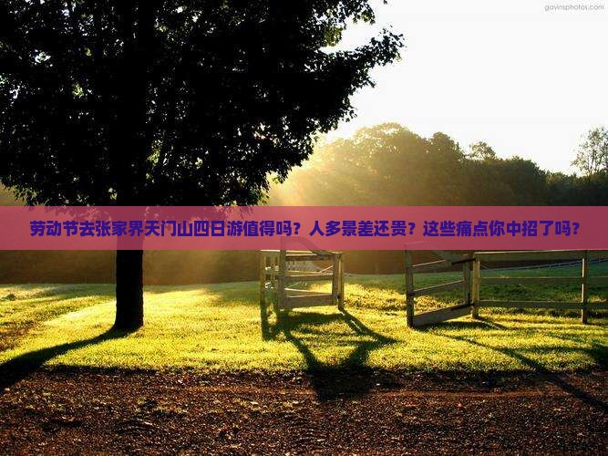 劳动节到张家界天门山四日游