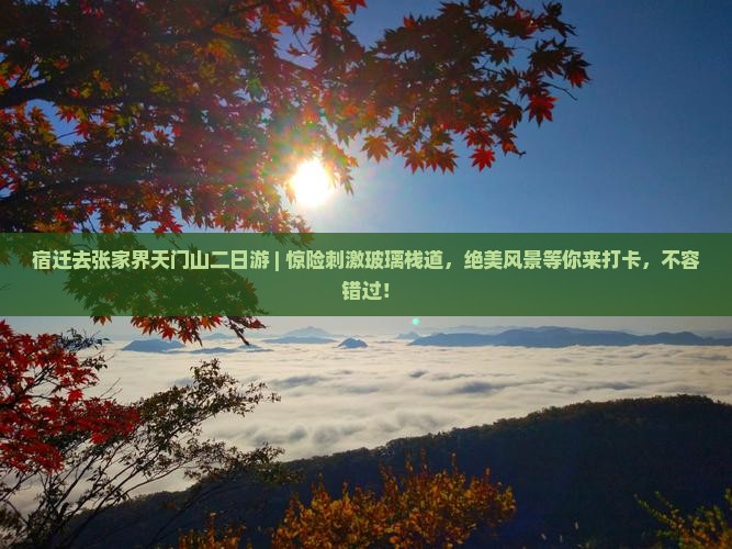 宿迁去张家界天门山二日游