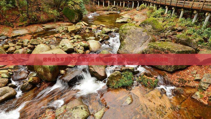 宿州去张家界天子山哪里玩