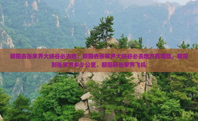 朝阳去张家界大峡谷必去地