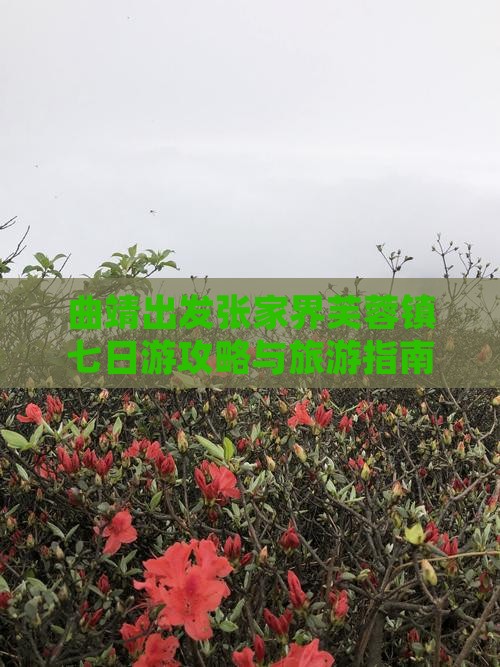 曲靖去张家界芙蓉镇七日游