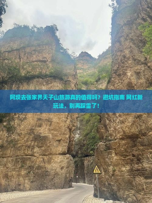 阿坝去张家界天子山旅游