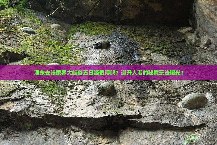 海东去张家界大峡谷五日游