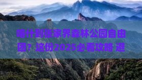 喀什到张家界森林公园自由团