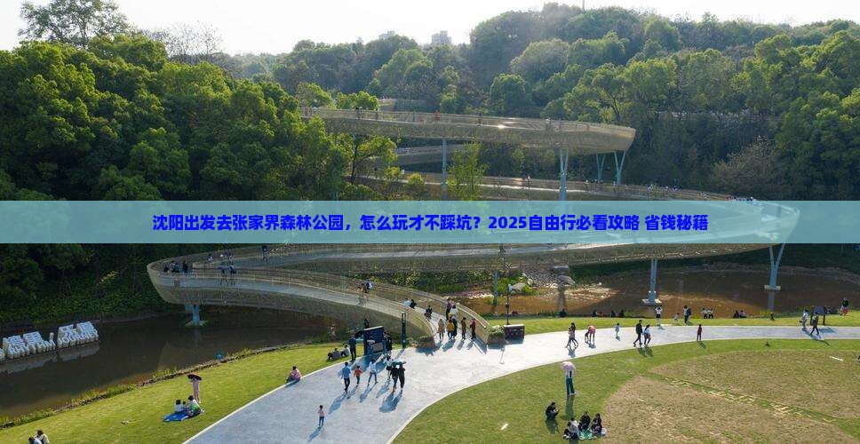 沈阳去张家界森林公园自由行