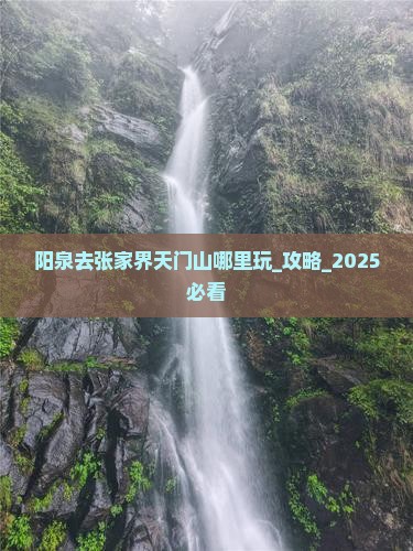阳泉去张家界天门山哪里玩