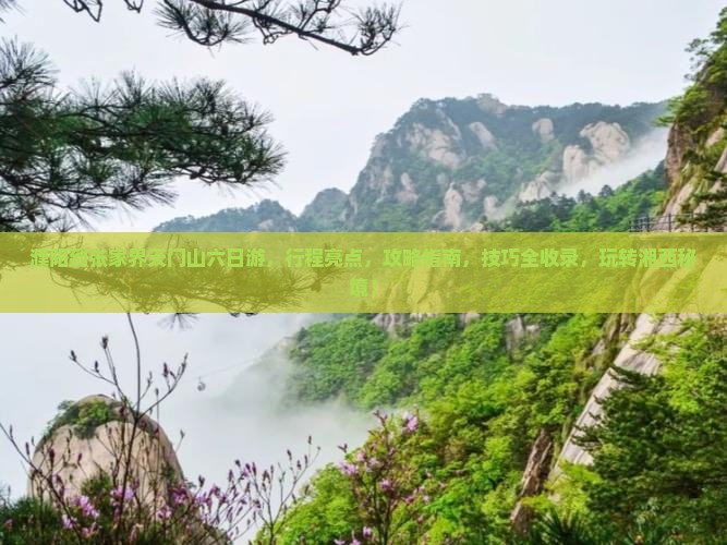 濮阳到张家界天门山六日游