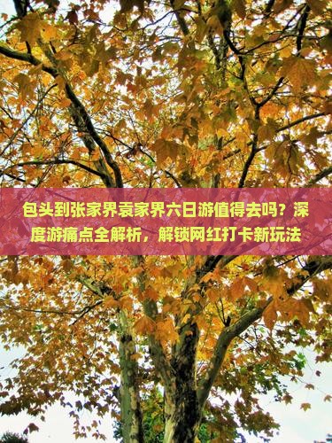 包头到张家界袁家界六日游