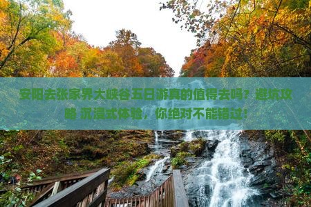 安阳去张家界大峡谷五日游