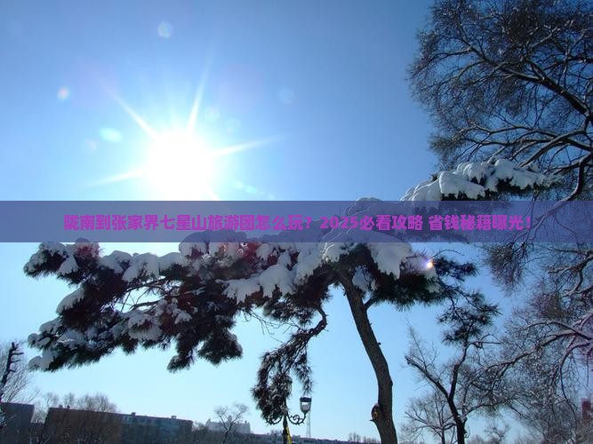 陇南到张家界七星山大型旅游团