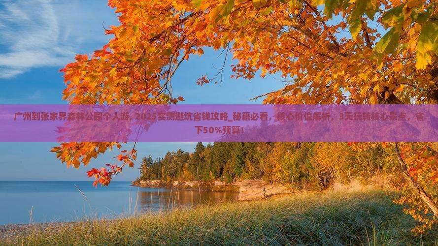 广州到张家界森林公园个人游