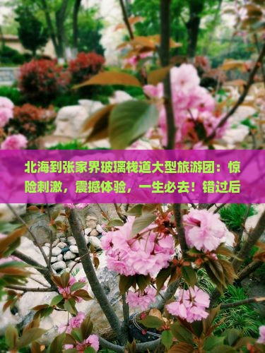 北海到张家界玻璃栈道大型旅游团
