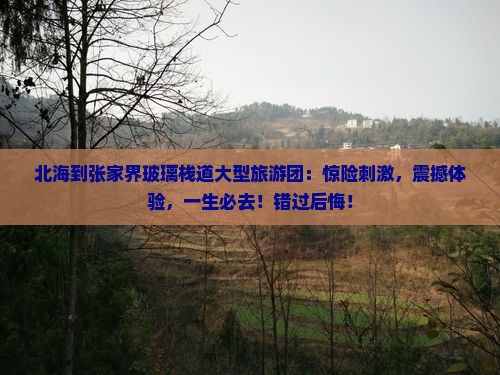 北海到张家界玻璃栈道大型旅游团