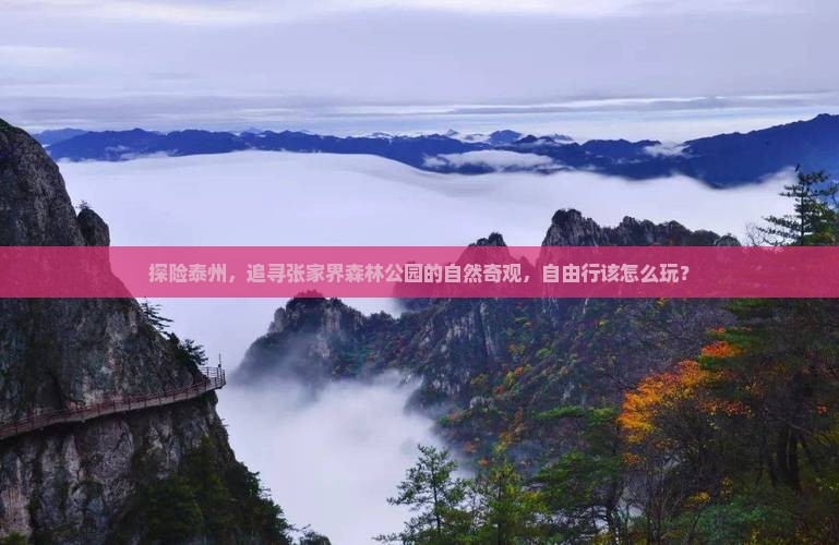探险泰州，追寻张家界森林公园的自然奇观，自由行该怎么玩？