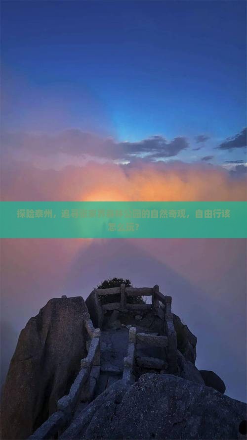 探险泰州，追寻张家界森林公园的自然奇观，自由行该怎么玩？
