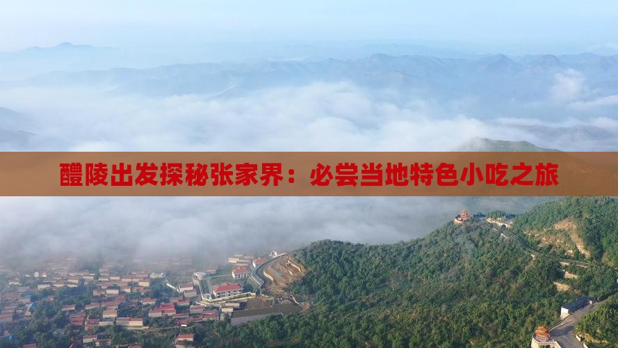 醴陵出发探秘张家界：必尝当地特色小吃之旅