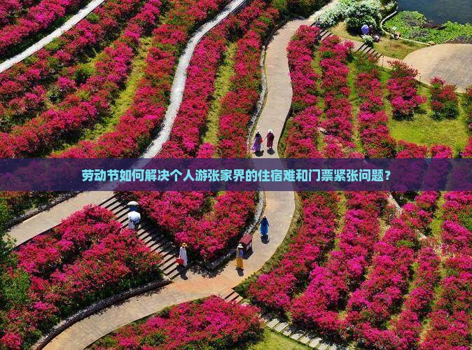 劳动节如何解决个人游张家界的住宿难和门票紧张问题？