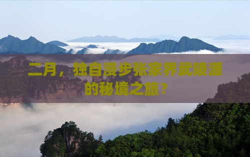 二月，独自漫步张家界武陵源的秘境之旅？