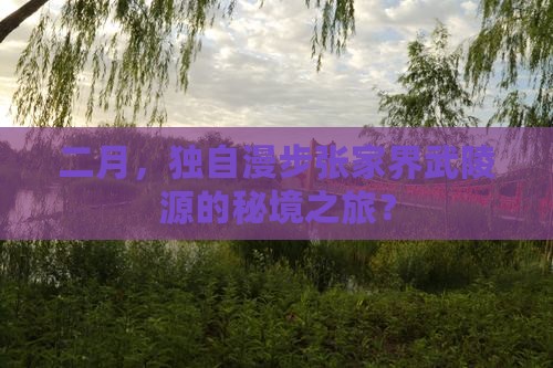 二月，独自漫步张家界武陵源的秘境之旅？