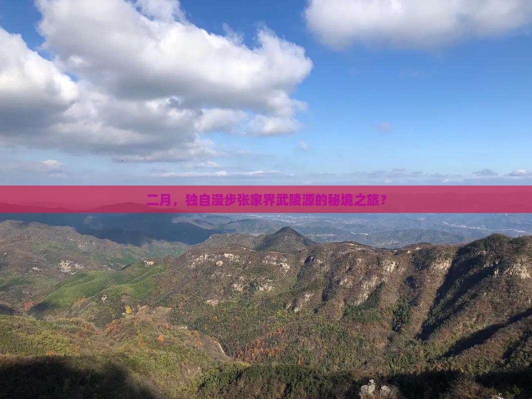 二月，独自漫步张家界武陵源的秘境之旅？