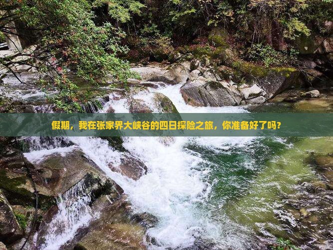 假期，我在张家界大峡谷的四日探险之旅，你准备好了吗？