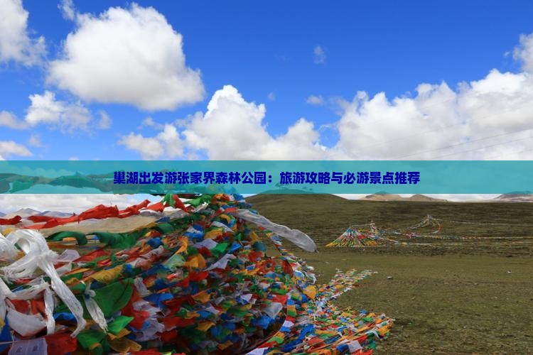 巢湖出发游张家界森林公园：旅游攻略与必游景点推荐
