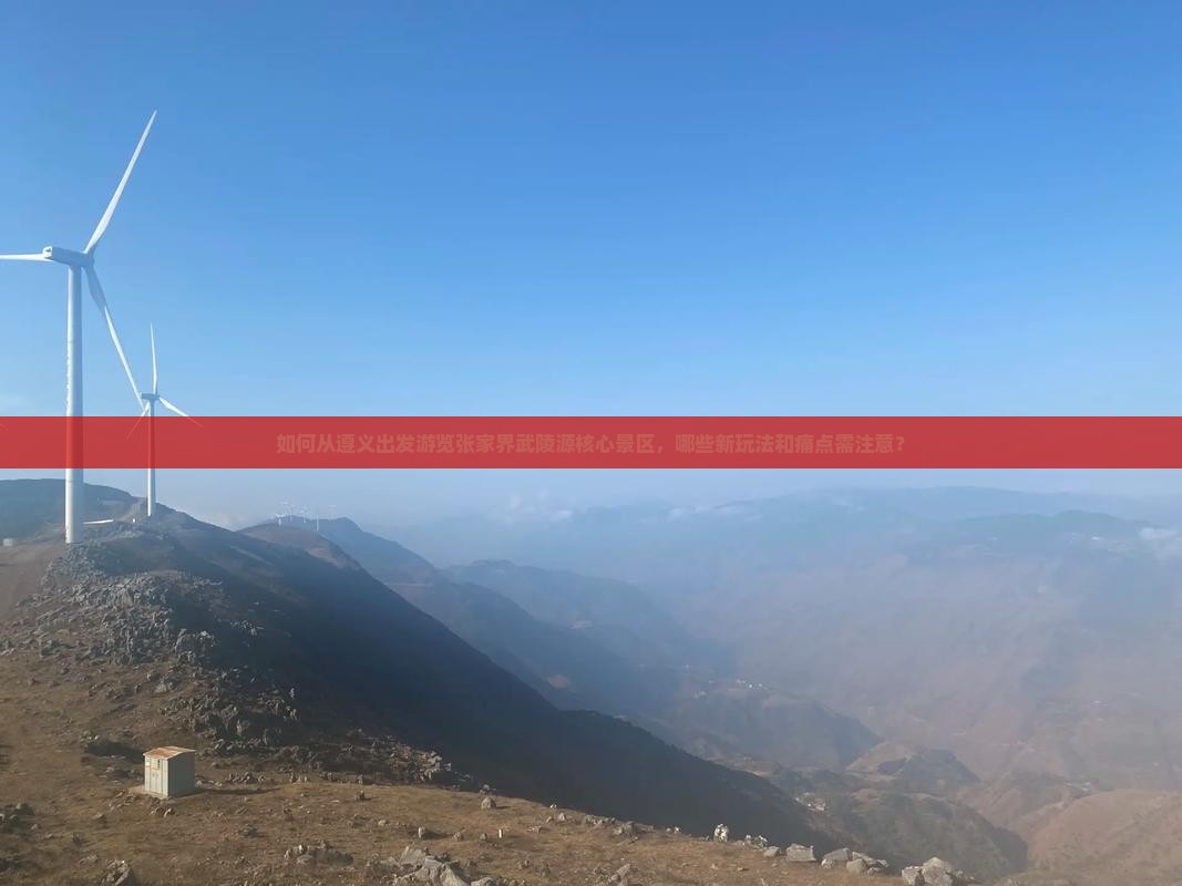 如何从遵义出发游览张家界武陵源核心景区，哪些新玩法和痛点需注意？